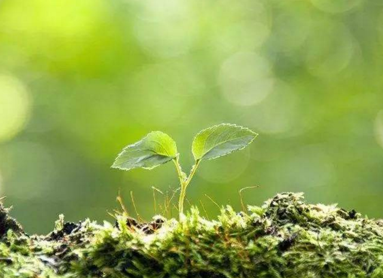 1493259421368117.png 01.png